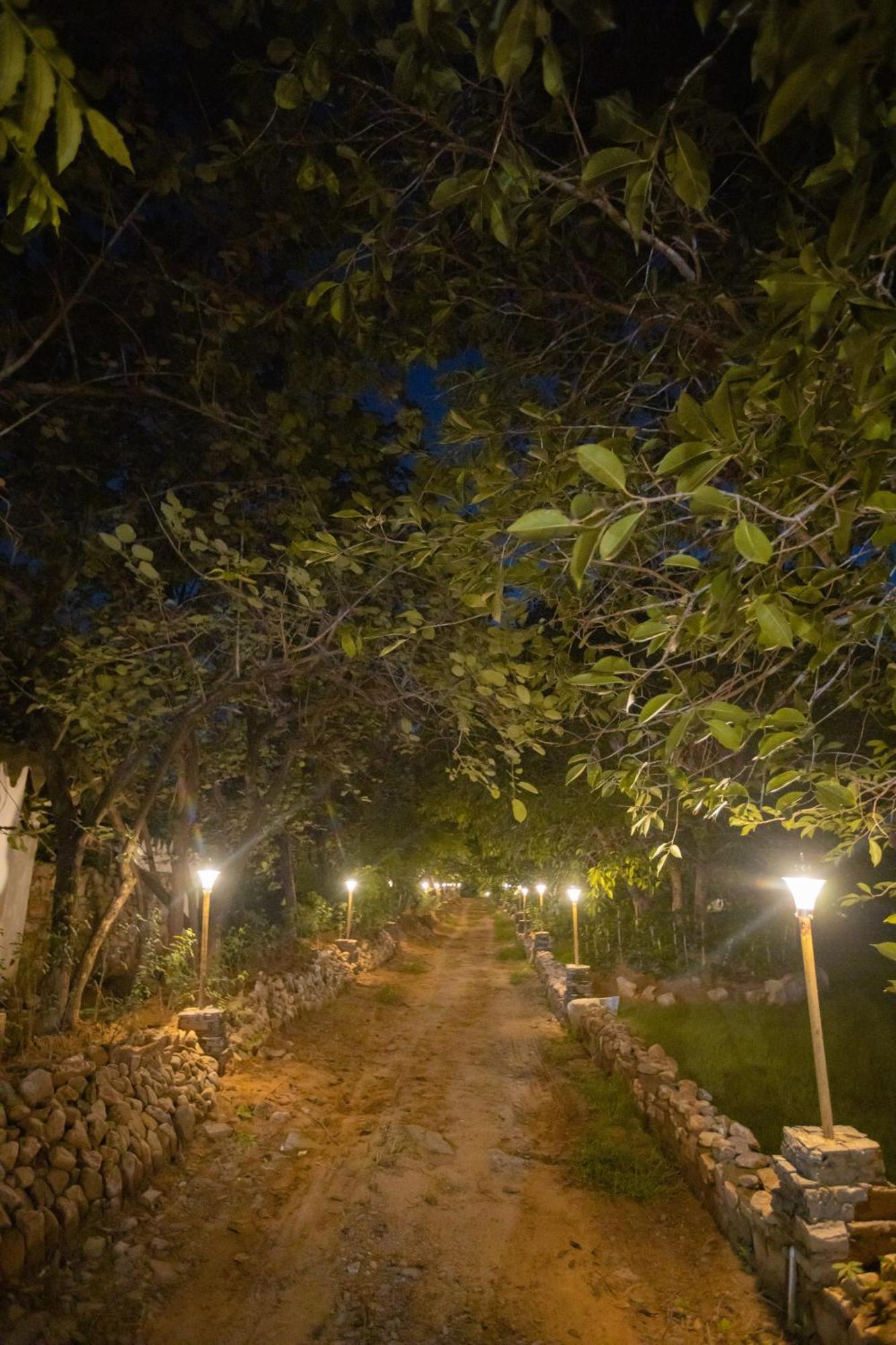 Nature Village Resort Пушкар Экстерьер фото
