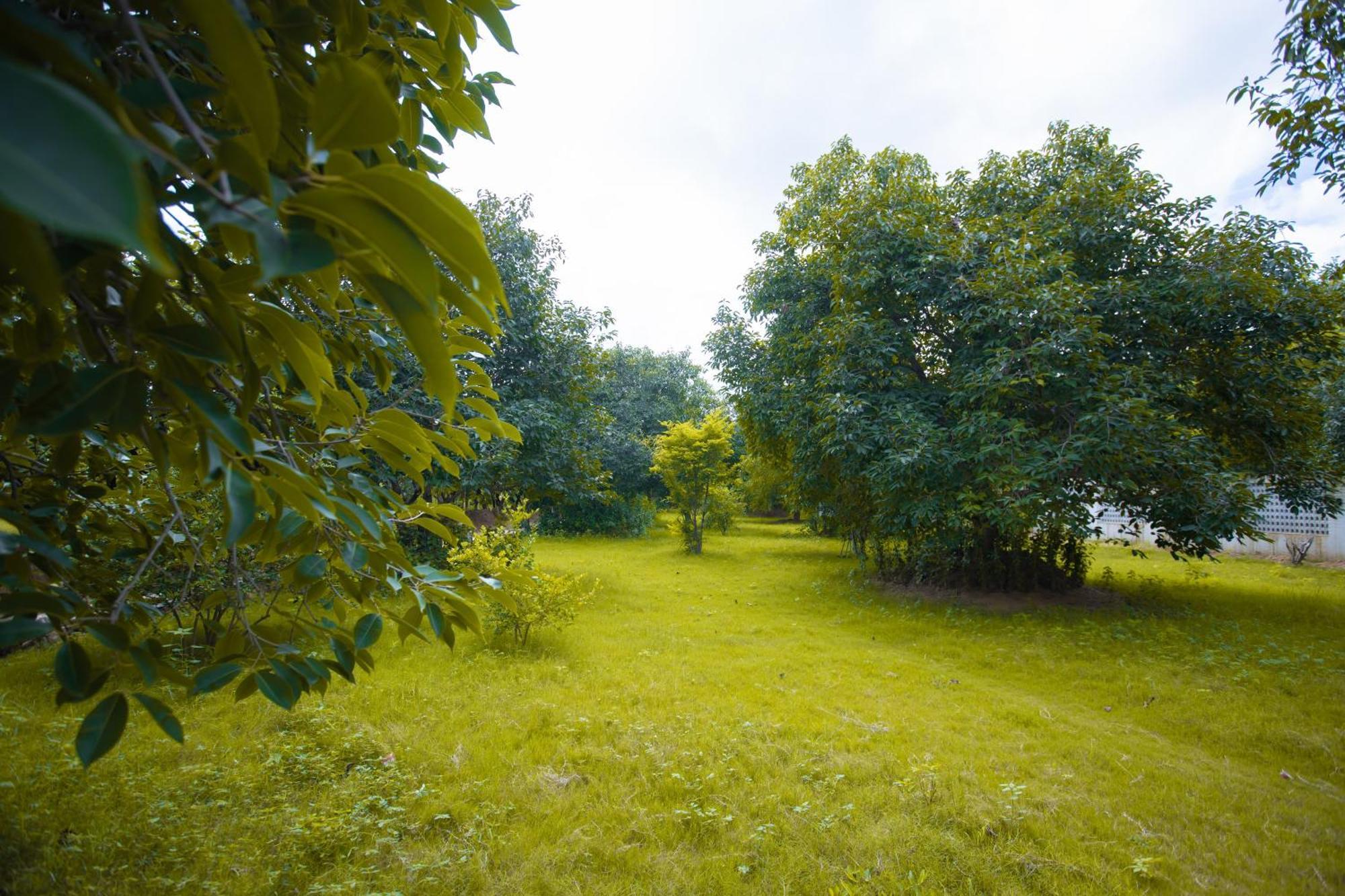 Nature Village Resort Пушкар Экстерьер фото